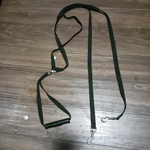 Double Dog Leash